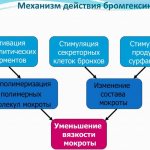Бромгексин (Bromhexine) таблетки для детей, взрослым. Инструкция по применению, цена