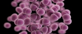 Гонорея это. Хроническая гонорея: что это такое?