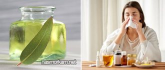 Inhalations with eucalyptus: steam and with a nebulizer. Instructions