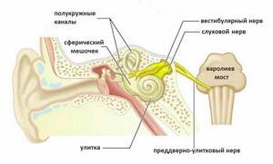 кохлеарный неврит слухового нерва лечение