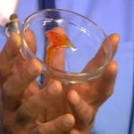 Кровь в мокроте при кашле: что это может быть, причины отхаркивания кровью