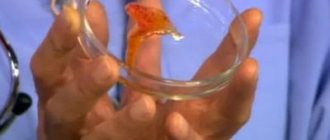 Blood in sputum when coughing: what could it be, reasons for coughing up blood