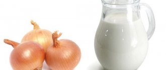 Лук в молоке от кашля – действительно ли средство помогает избавиться от простуды? Молоко с луком от кашля – как приготовить лекарство?