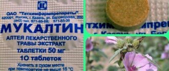 Is it possible to drink mucaltin during pregnancy?