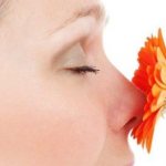 Про уши-горло-нос - Болезни и лечение лор-органов