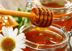 Помогает ли мед и шалфей при лечении кашля