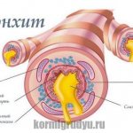 Препараты от кашля разрешенные при грудном вскармливании