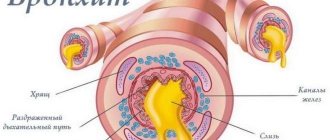 Cough medications allowed during breastfeeding