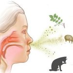 Причины заложенности носа и головной боли