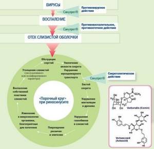 Принцип действия лекарства Синупрет при риносинусите