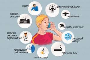 Провокаторы приступов бронхиальной астмы