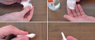 Turunda from a cotton pad